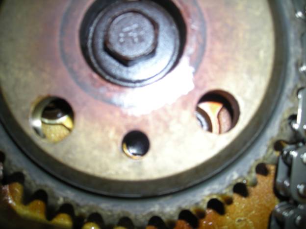 timingchaincover 019.JPG